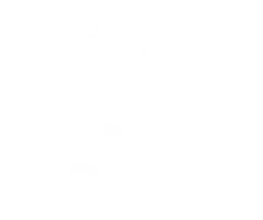 Holidu